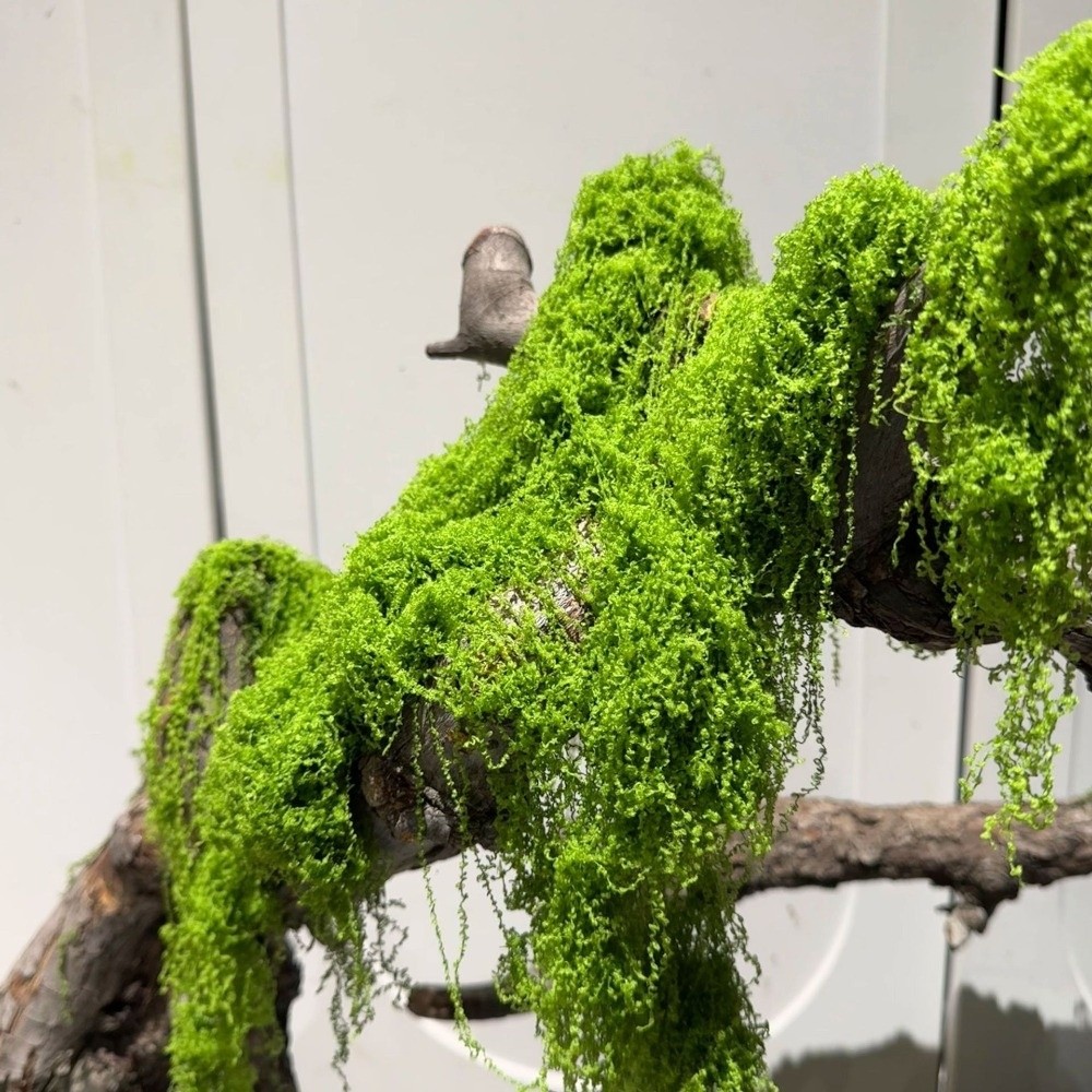 Terrarium Moss Art - Tanaman Lumut Buatan Poliester untuk Kerajinan