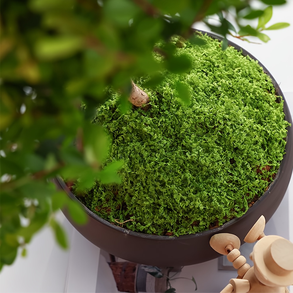 1 Pak lumut palsu buatan, 1.05 - Terrarium Moss Art ulasan dan harga
