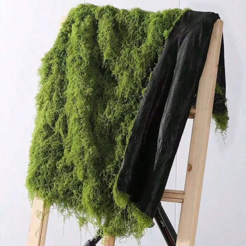 Lumut buatan untuk dekorasi mi - Terrarium Moss Art ulasan dan harga