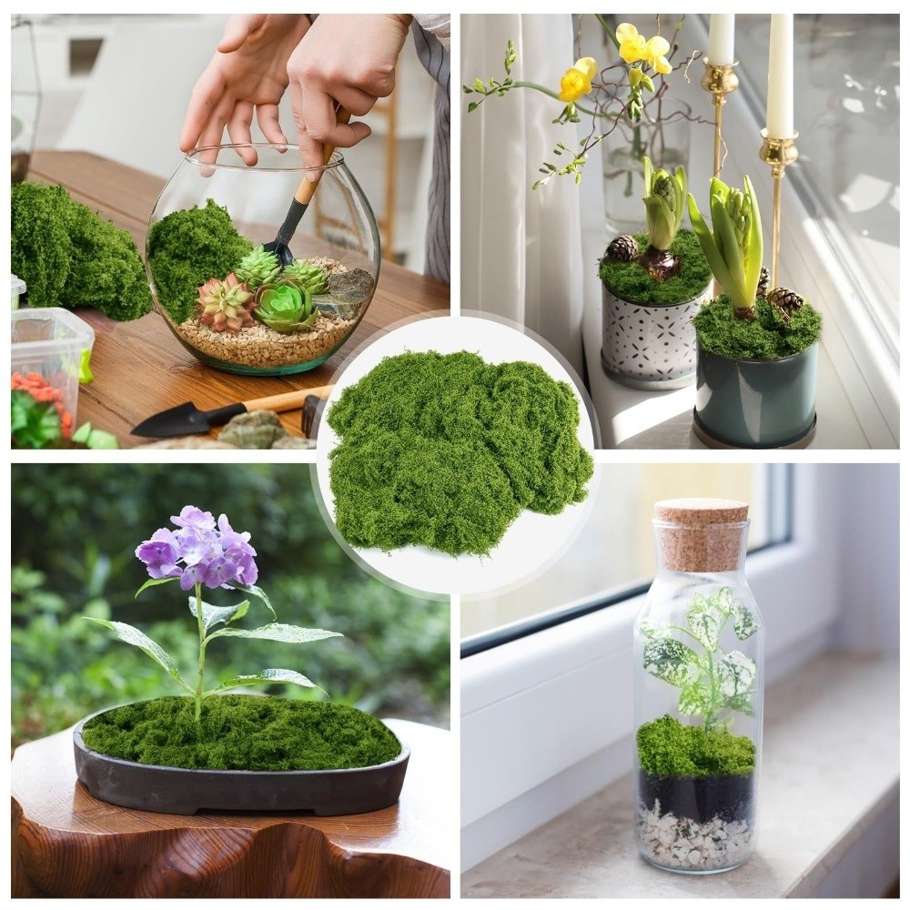 Tanaman Lumut Buatan Poliester - Terrarium Moss Art ulasan dan harga